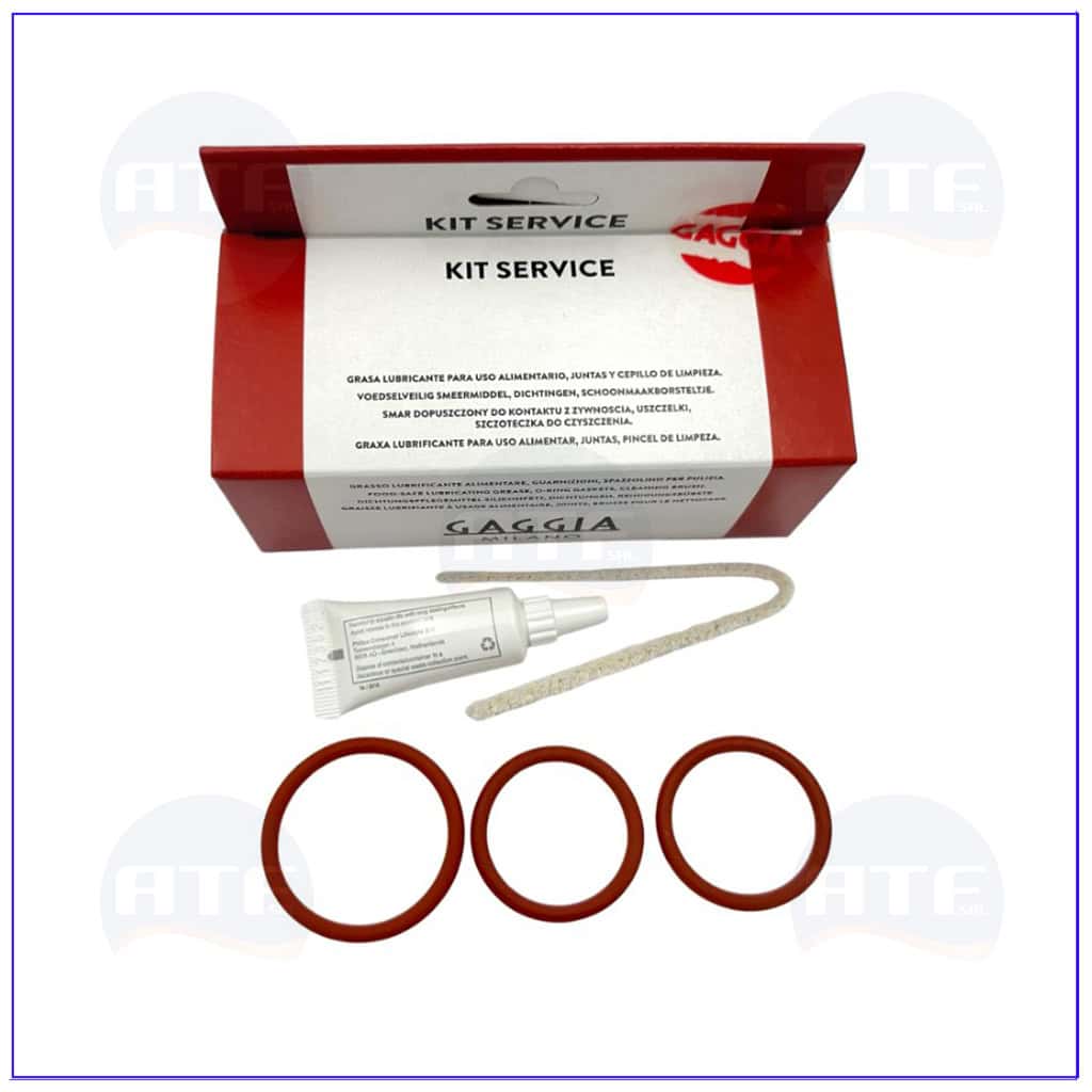 kit service manutenzione gruppi 1001683